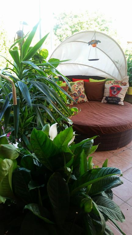 Apartmán Dora